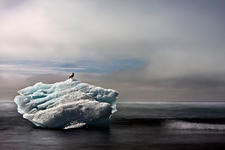 Photo d'Islande par Vincent Richard