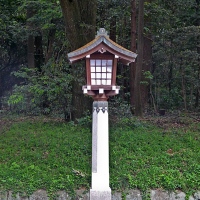 Lanternes de pierre au sanctuaire Meiji-jingū