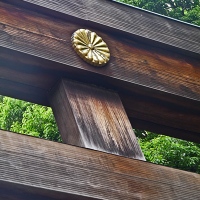 Détail sur le deuxième torii d'entrée au Meiji-jingū