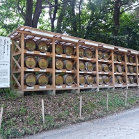 Offrandes de vin de Bourgogne au Meiji-jingū
