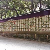Offrandes de saké à l'entrée du Meiji-jingū