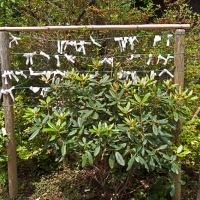 Omikuji (arbre à prédictions) au parc de Ueno