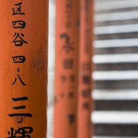 Torii d'un temple dans Ueno koen