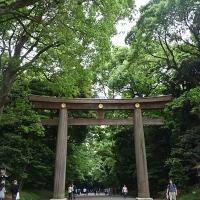 Premier torii à l'entrée de Meiji-jingū