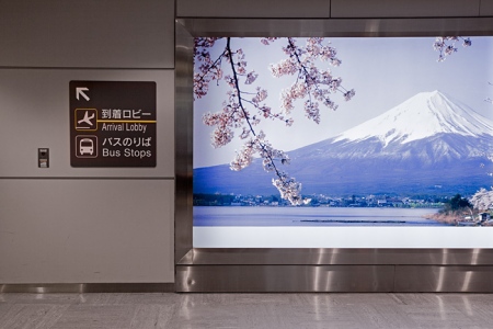 Vue d'accueil au Japon !