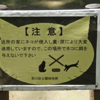 Interdiction de nourrir les chats