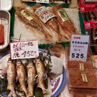 Dans les allées de Nishiki market