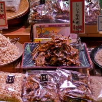 Dans les allées de Nishiki market