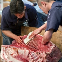 Découpe du thon à Tsukiji