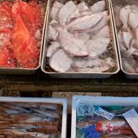 Étals au marché de Tsukiji