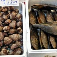 Étals au marché de Tsukiji