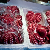 Étals au marché de Tsukiji