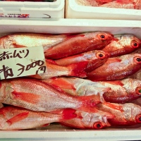 Étals au marché de Tsukiji