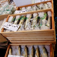 Étals au marché de Tsukiji