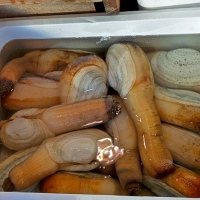 Étals au marché de Tsukiji