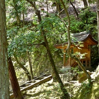 Jardin du temple Kinkaku-ji à Kyoto