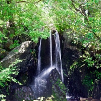 Jardin du temple Kinkaku-ji à Kyoto