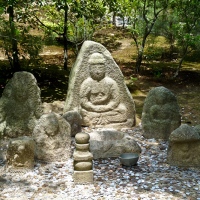 Jardin du temple Kinkaku-ji à Kyoto