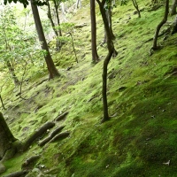 Jardin zen du Ginkaku-ji