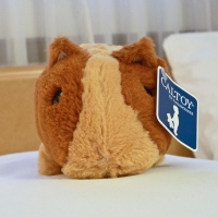 Notre mascotte Monster