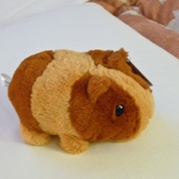 Notre mascotte Monster