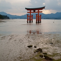 Ô torii sur l'île de Miyajima