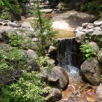 Parc de Momijidani, sur l'île de Miyajima