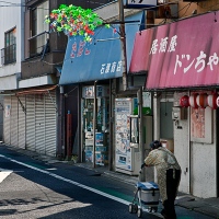 Aux alentours de la ligne Arakawa