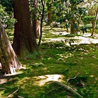 Temple Ryōan-ji à Kyoto