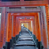 Torii au sanctuaire Fushimi Inari