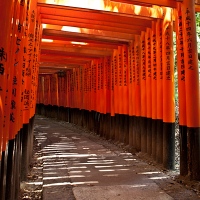 Torii au sanctuaire Fushimi Inari