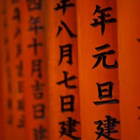 Torii au sanctuaire Fushimi Inari