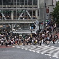 Piétons qui attendent au carrefour de Shibuya
