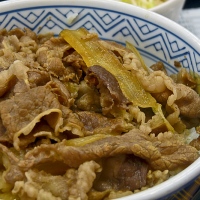 Gyūdon : bol de riz et boeuf à Yoshinoya